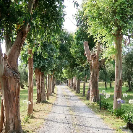 Apartment Locazione Turistica Agriturismo Ada Musso *